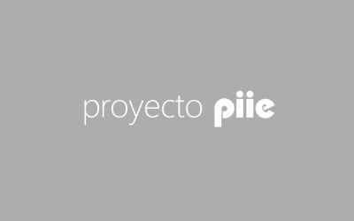 Apoyo a la elaboración o actualización de proyectos educativos institucionales (PEI)