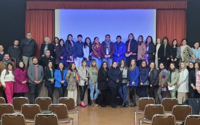 Plan Nacional de Tutorías: Taller congregó a más de 40 establecimientos de Curicó