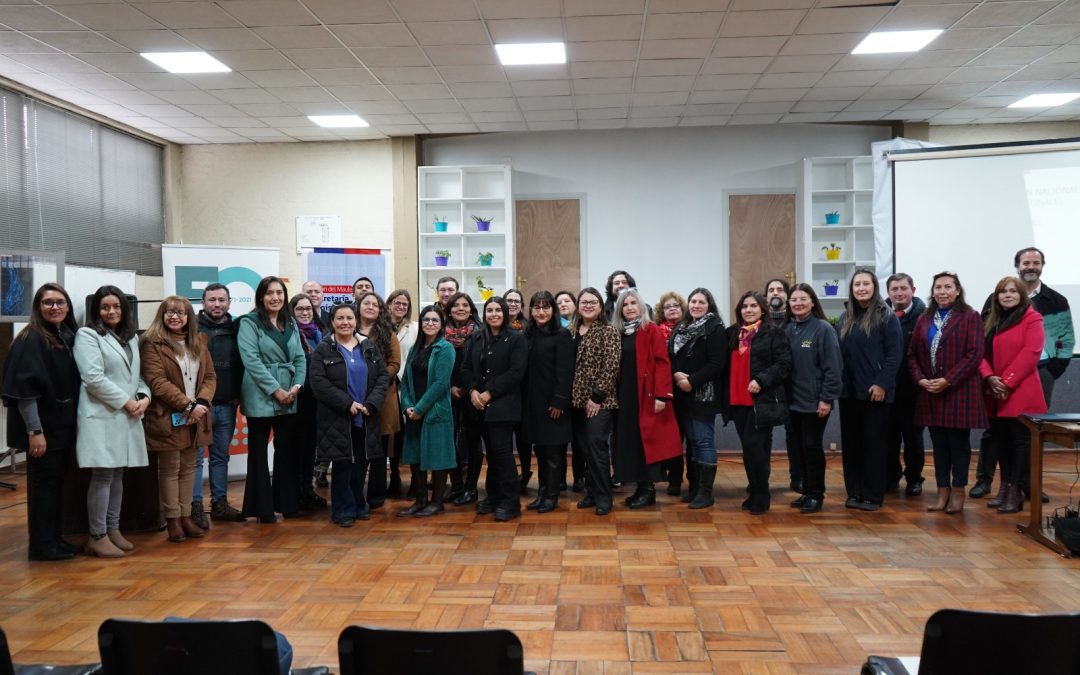 Maule cerró con éxito el Plan Nacional de Tutorías destacando un fuerte compromiso
